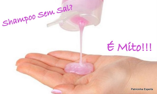 2011 12 192 - Shampoo Sem Sal: Mito?