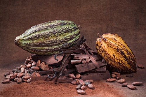 CACAU CHOCOLATE - Do Cacau Ao Chocolate