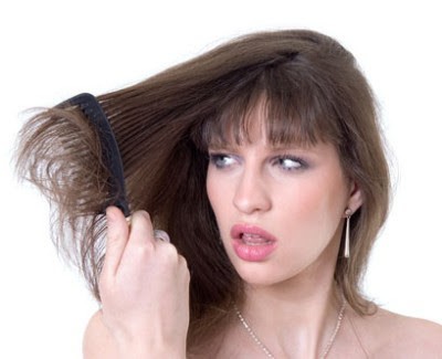 CABELO~1 (1)
