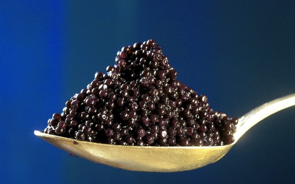 caviar - Fique Mais Jovem Com As Cápsulas de Caviar!