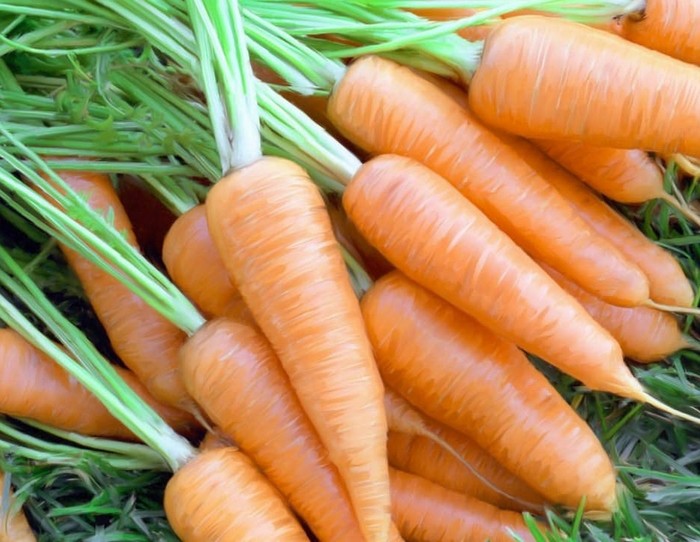 alimentos cenoura - Quais alimentos melhoram a beleza da pele?