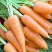 alimentos-hidratam
