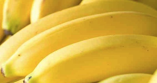 bananas raw 538 538x286 - Dieta da Banana: Já Conhece?
