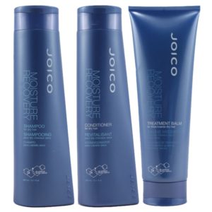 Joico Moisture Recovery