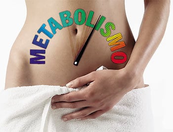 Quantas Calorias Precisamos Ingerir Por Dia? comendo para emagrecer como acelerar o metabolismo - Quantas Calorias Precisamos Ingerir Por Dia?