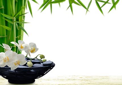 feng_shui430x300
