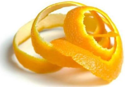 Como Se Proteger e Atrair a Boa Sorte? casca - Como Se Proteger e Atrair a Boa Sorte?