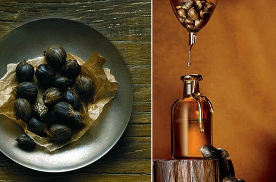 óleo de ojon ou óleo de argan?